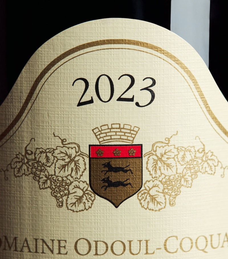 Odoul Coquard Gevrey-Chambertin 2023 red wine 75cl - British product
