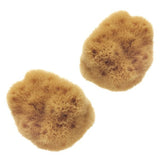 Superdrug Hydrea London Mediterranean Sea Sponge Set for Facial Cleansing 2.5-3 Inch- Buy online at McGrocer