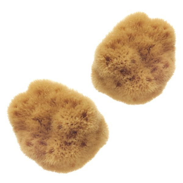 Hydrea London Mediterranean Sea Sponge Set 2.5-3 Inch, UK version