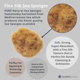 Hydrea London Mediterranean Sea Sponge Set 2.5-3 Inch, UK version