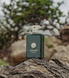 Amouage Purpose Eau de Parfum 100ml, imported from the UK