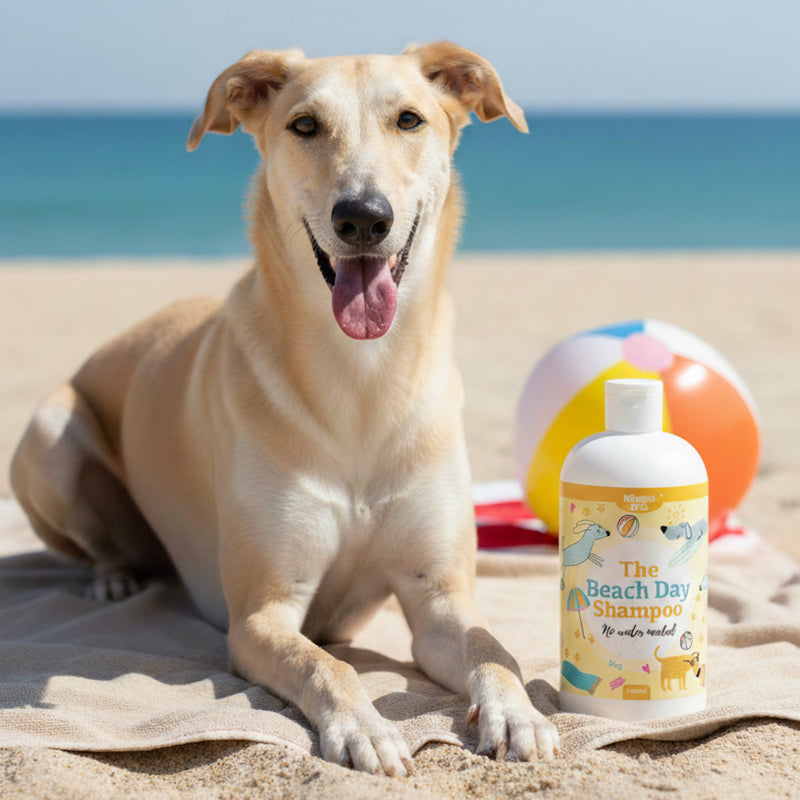 Beach Day pet shampoo Towel Off 240ml - British product