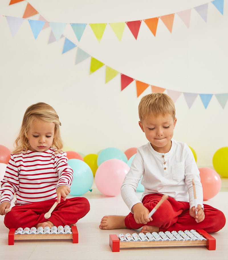 Janod musical set Confetti timber instruments (British brand)