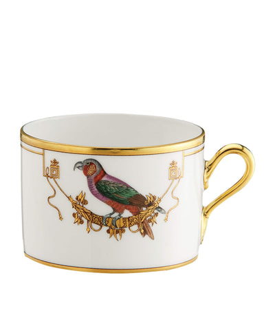 Harrods GINORI 1735 Volière Porcelain Teacup- Buy online at McGrocer