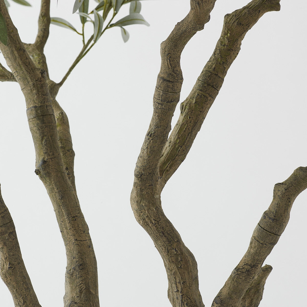 Artificial 8ft Olive Tree in Planter - McGrocer