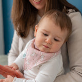 Ziggle Bunnies on Pink Bandana Dribble Bib 0-3 Months (British brand)