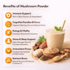 Mycology Nutrition organic Lion's Mane powder 60g, UK version