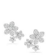 Harrods Graff White Gold and Diamond Wild Flower Stud Earrings- Buy online at McGrocer