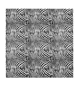 Harrods Dolce&Gabbana Casa Cotton Zebra King Fitted Sheet (300cm x 300cm)- Buy online at McGrocer