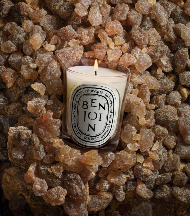 Diptyque Benjoin scented candle 190g, UK version