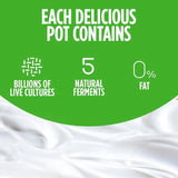 Activia Strawberry Raspberry Cherry & Blueberry No Added Sugar Fat Free 8 x 115g - McGrocer