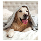 Activity Superstore Dog Friendly Stays Gift Experience - McGrocer