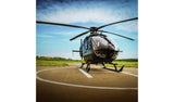 Activity Superstore Helicopter Buzz For Two Gift Experience - McGrocer