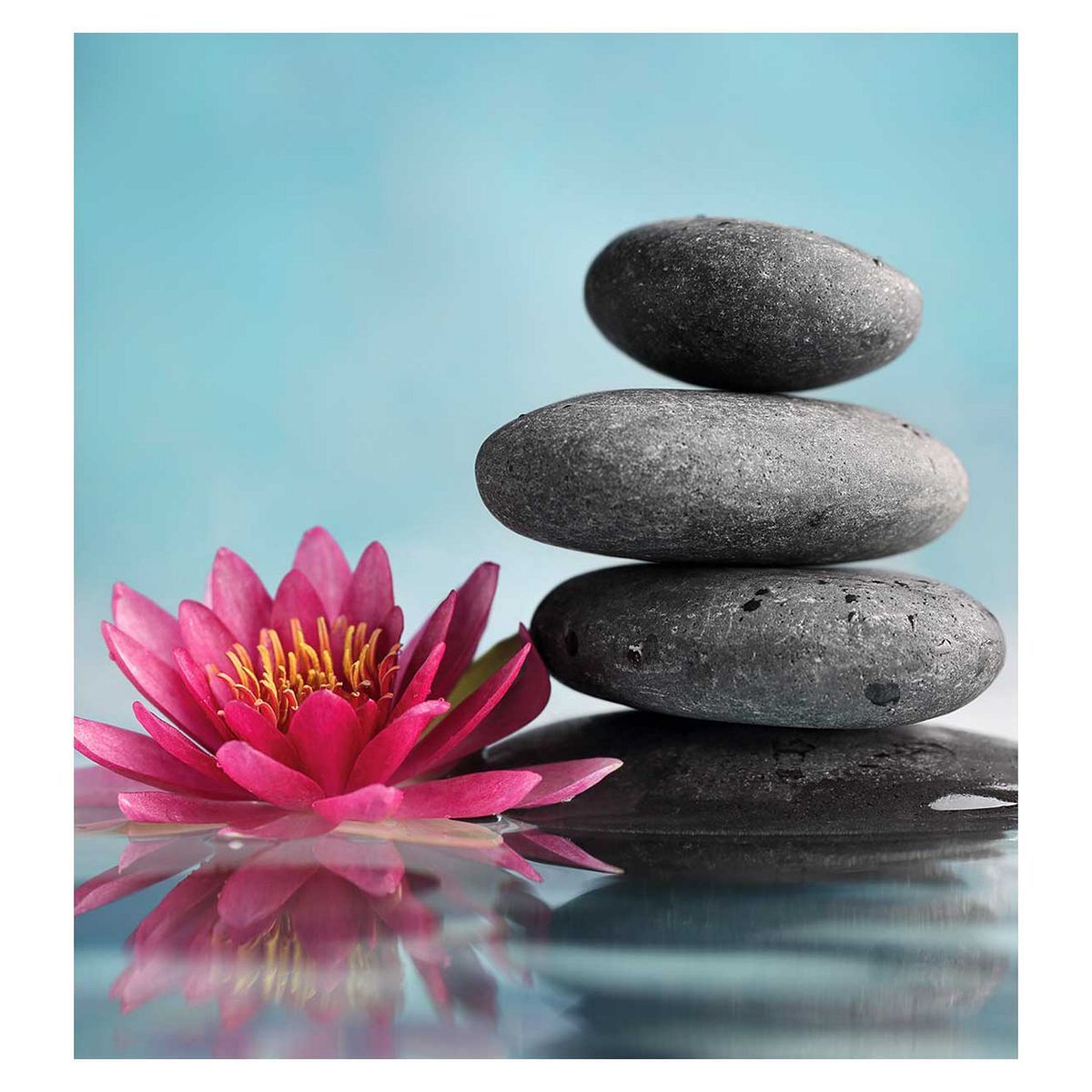 Activity Superstore Mind and Body Relaxation Choice - McGrocer