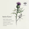 New Nordic Active Liver Tablets 60 imported from the UK