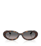 Ray-Ban RB2223 sunglasses - British product