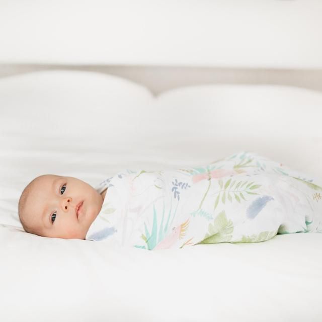 Aden + Anais Muslin Swaddle Blankets Tropicalia 4 per pack - McGrocer