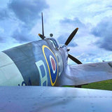 Adopt a Spitfire - McGrocer