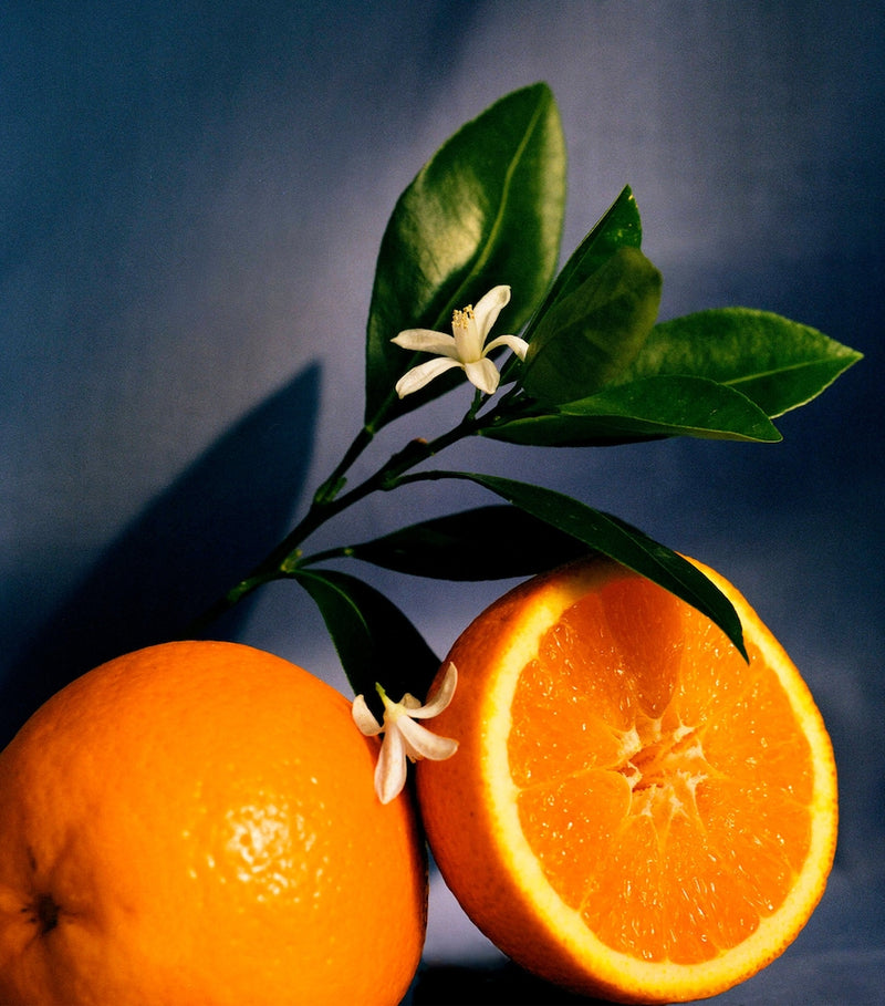 LOEWE Orange Blossom candle 4.85kg, UK version