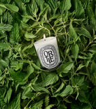 Diptyque Ortie candle 190g, imported from the UK