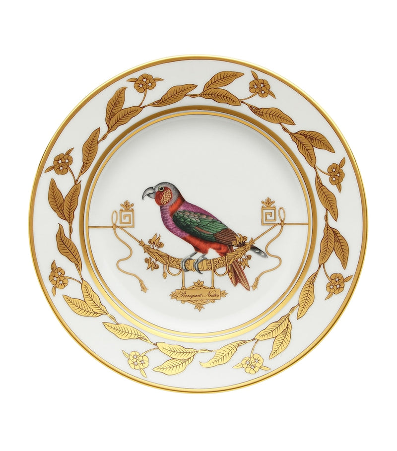 Ginori 1735 Volière parrot dessert plate 22cm (British brand)