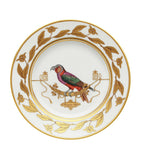 Ginori 1735 Volière parrot dessert plate 22cm (British brand)