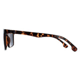 Smarty brown unisex sunglasses (British brand)