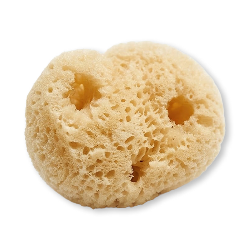 Natural sea sponge puffs 6-pack (British brand)