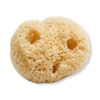 Natural sea sponge puffs 6-pack (British brand)