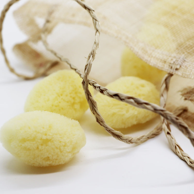 Natural sea sponge puffs 6-pack (British brand)