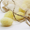 Natural sea sponge puffs 6-pack (British brand)