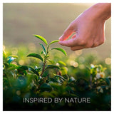 Airwick Botanica Reed Island Rose & African Geranium 80ml - McGrocer