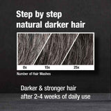 Alpecin Grey Attack Caffeine & Colour Shampoo 2x 200ml - McGrocer