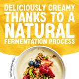 Alpro Greek Style Mango Yoghurt Alternative   150g - McGrocer