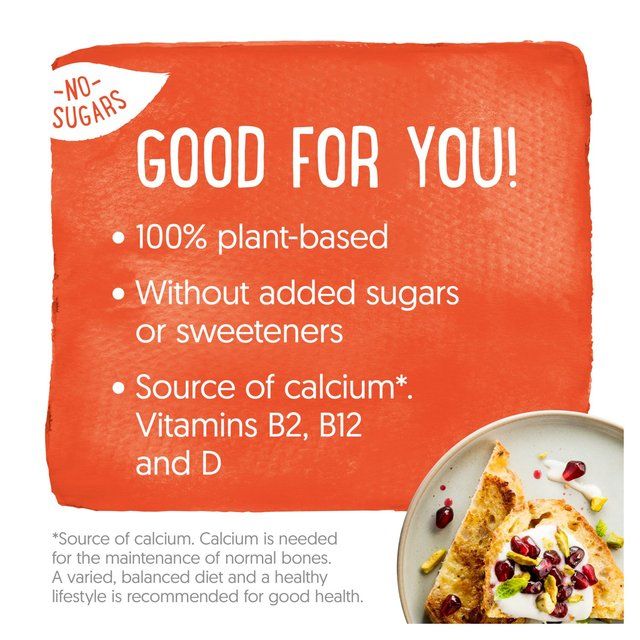 Alpro Plain No Sugars Yoghurt Alternative   500g - McGrocer