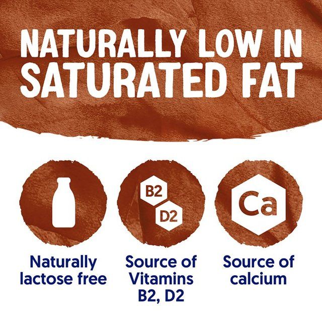 Alpro Soya Chocolate Chilled Drink 1L - McGrocer