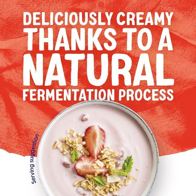 Alpro Strawberry Yoghurt Alternative   500g - McGrocer