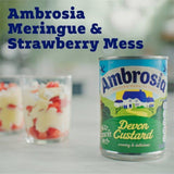 Ambrosia Devon Custard 400g - McGrocer