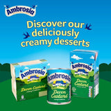 Ambrosia Devon Custard 500g - McGrocer