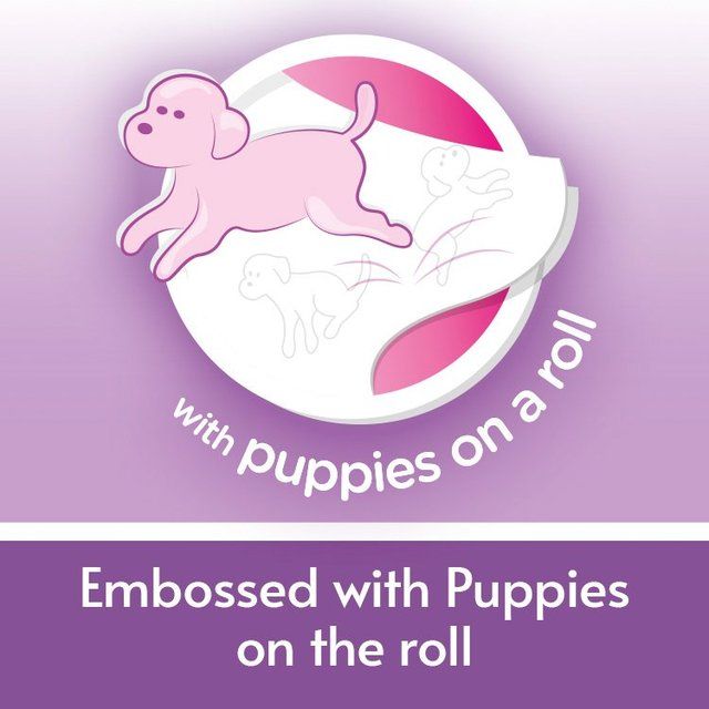 Andrex Gentle Clean Toilet Roll 9 per pack - McGrocer