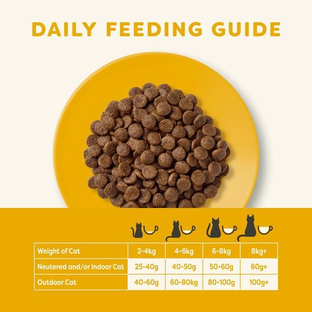 Applaws Cat Dry Adult Chicken with Salmon 2kg - McGrocer