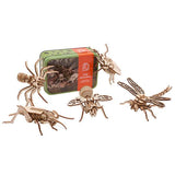 Apples To Pears Gift In A Tin Bug Adventure - McGrocer