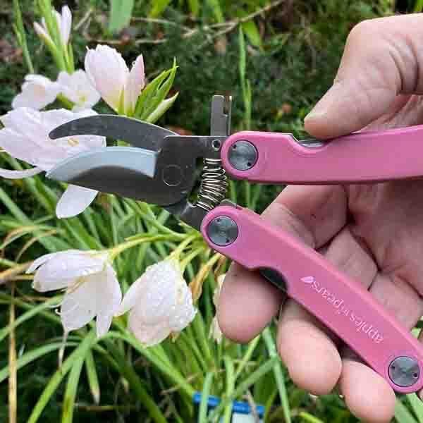 Apples To Pears Original Folding Pocket Secateurs - Pink - McGrocer