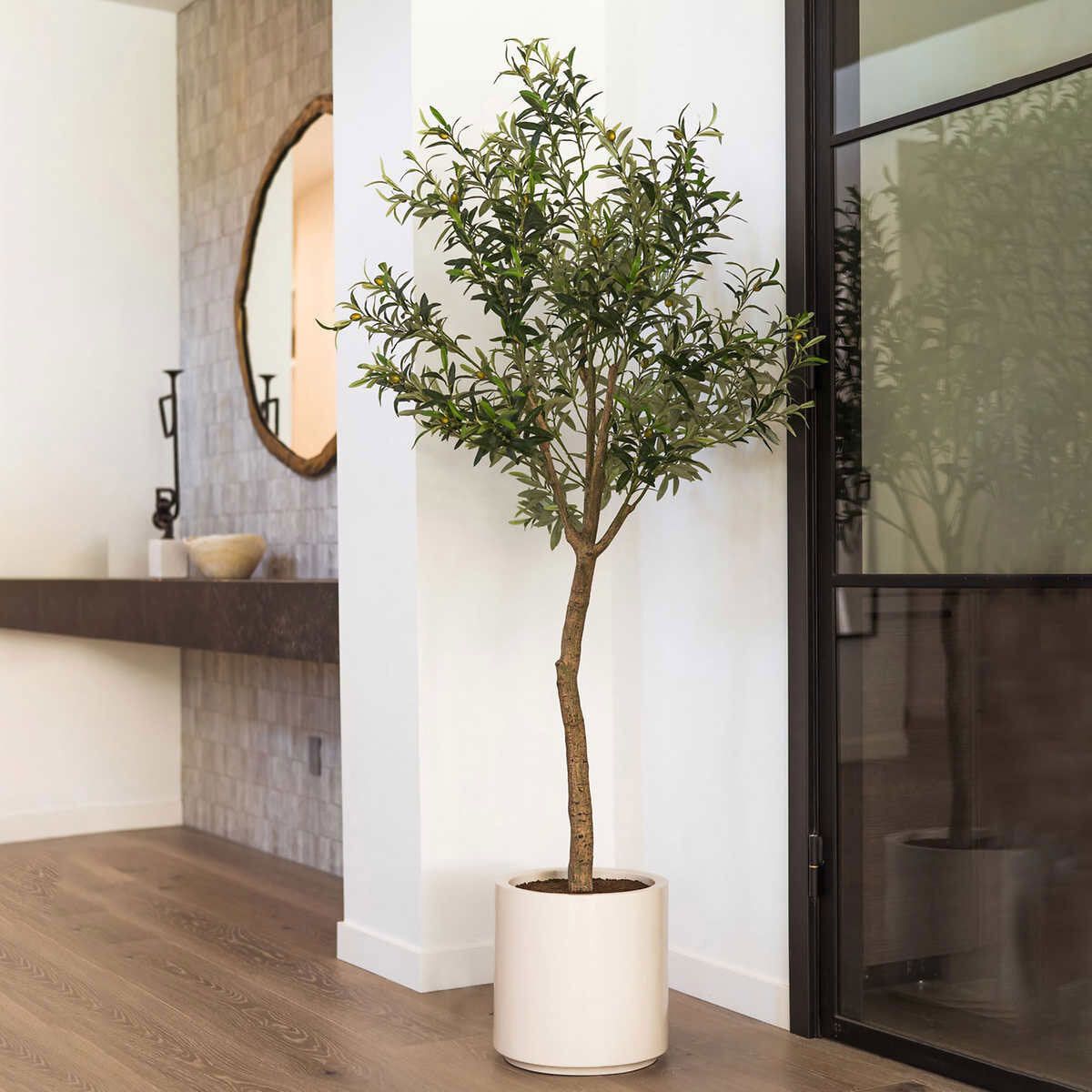 Artificial 6.5ft Olive Tree in Planter - McGrocer