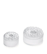Harrods Lalique Crystal Dahlia Jewellery Box- Buy online at McGrocer
