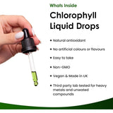New Leaf liquid chlorophyll 100mg 100ml, imported from the UK