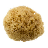 Superdrug Hydrea London Mediterranean Honeycomb Sea Sponge 5.5-6 Inch- Buy online at McGrocer
