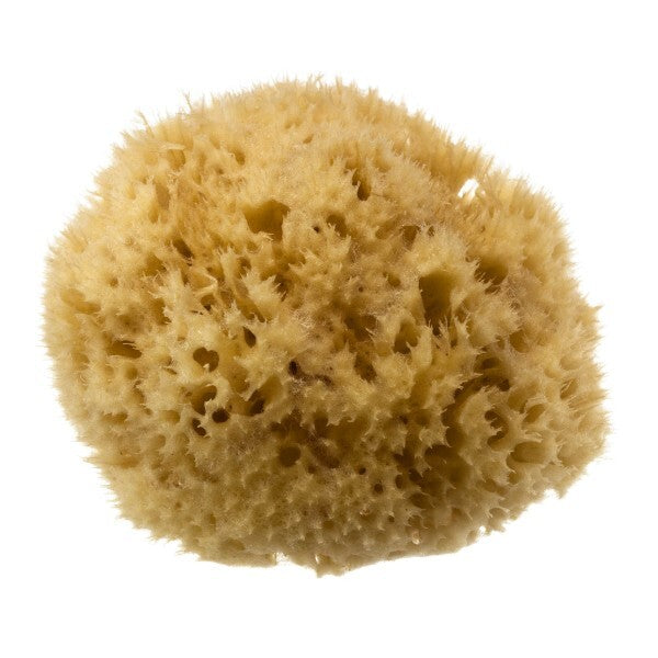 Hydrea London Mediterranean sea sponge 5.5-6 inch, UK version