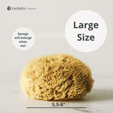 Hydrea London Mediterranean sea sponge 5.5-6 inch, UK version