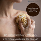 Hydrea London Mediterranean sea sponge 5.5-6 inch, UK version